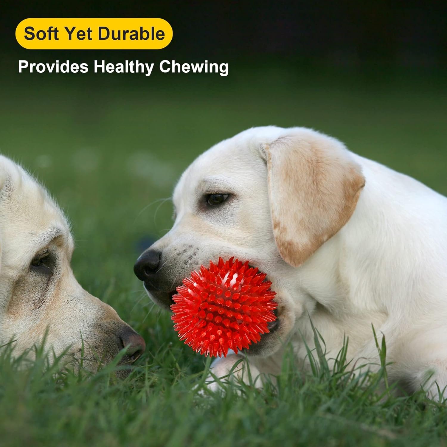 Puppy Chew Toys Six Balls for Teething, BPA Free Non-Toxic (6 Colors) - Image 7