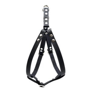 Black Waxed Canvas Dog Harness
