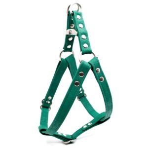 Emerald Cork Dog Harness