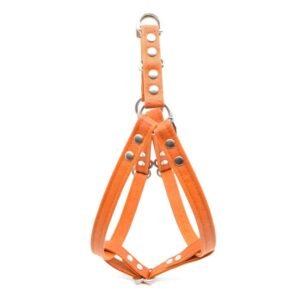 Orange Waxed Canvas Dog Harness