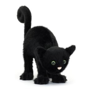 Spookipaws Cat